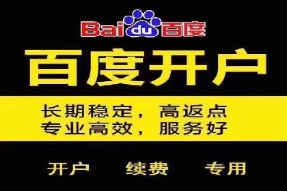 SEM竞价策略在移动端的成功应用案例